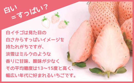 家庭用淡雪 4