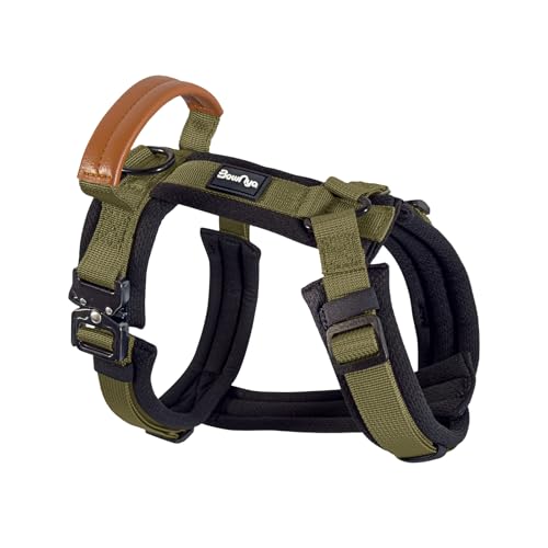 KOKOCHI Harness 1
