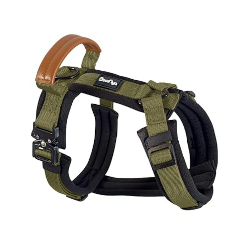 KOKOCHI Harness 1