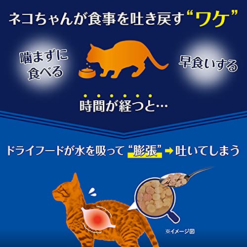 2021年】シニア猫用キャットフードのおすすめ人気ランキング10選  mybest