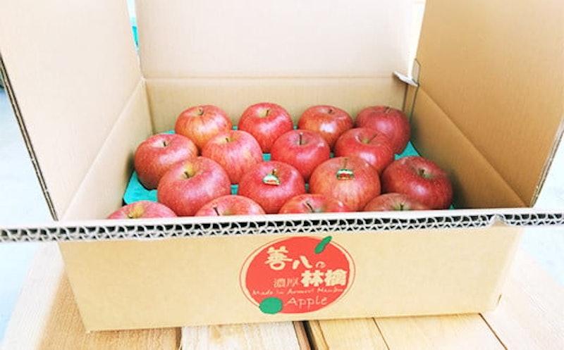 濃厚りんご サンふじ 規格外品 3