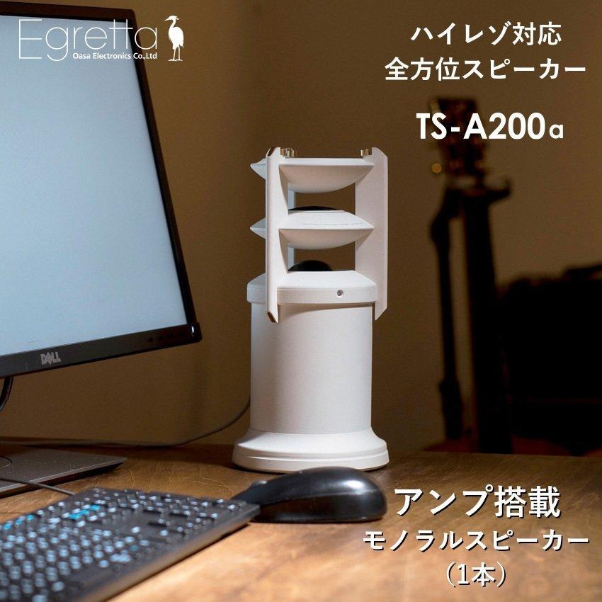 Egretta 1