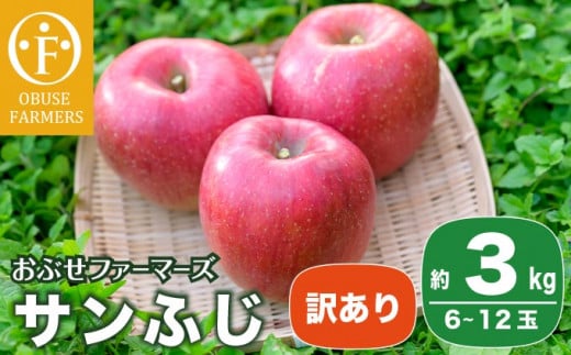 訳あり サンふじ 1
