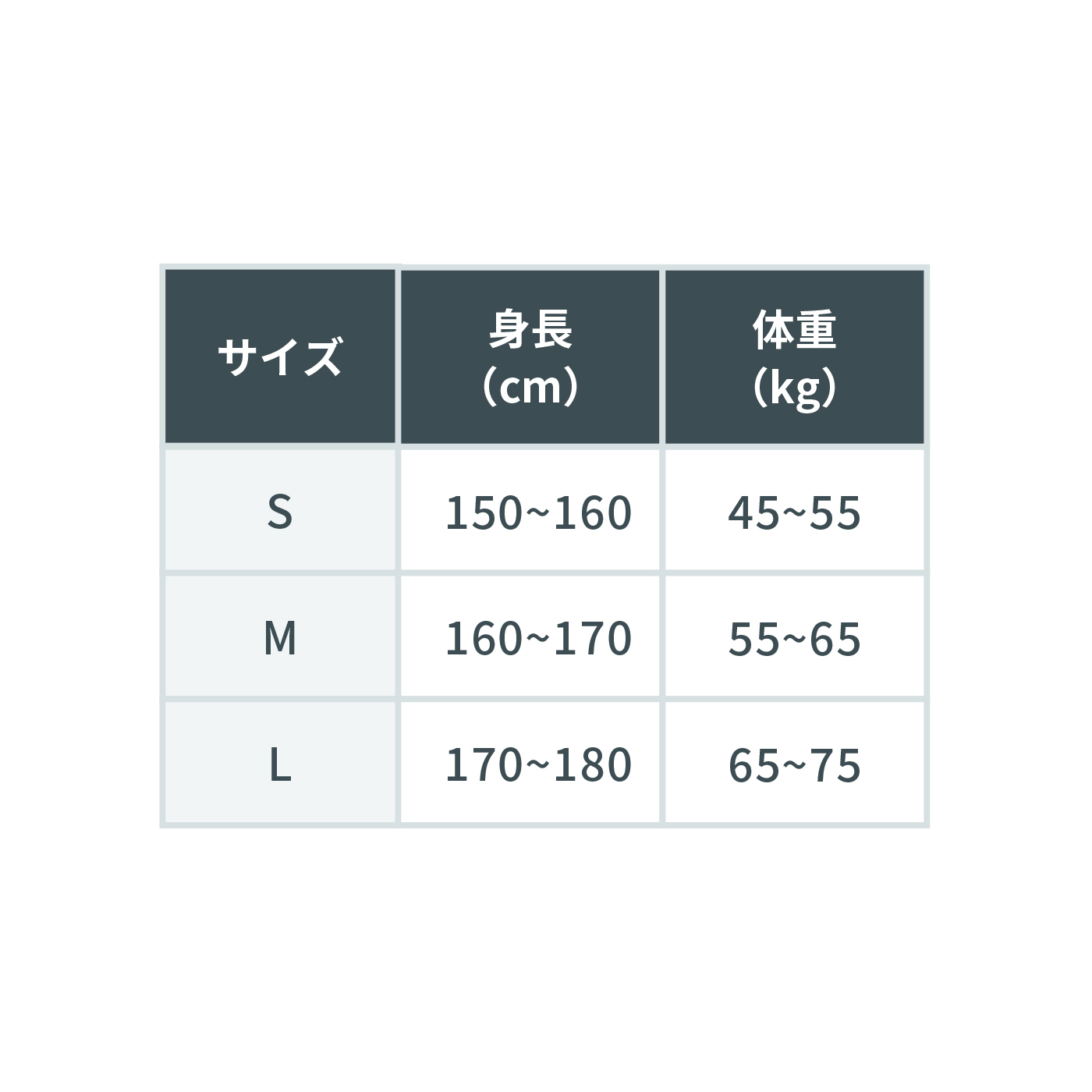 姿勢サポーター  7