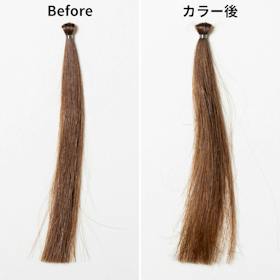 ビューティーラボ ホイップヘアカラー シフォンベージュをレビュー!クチコミ・評判をもとに徹底検証 3