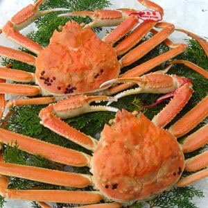 日本海産 茹で松葉がに 1