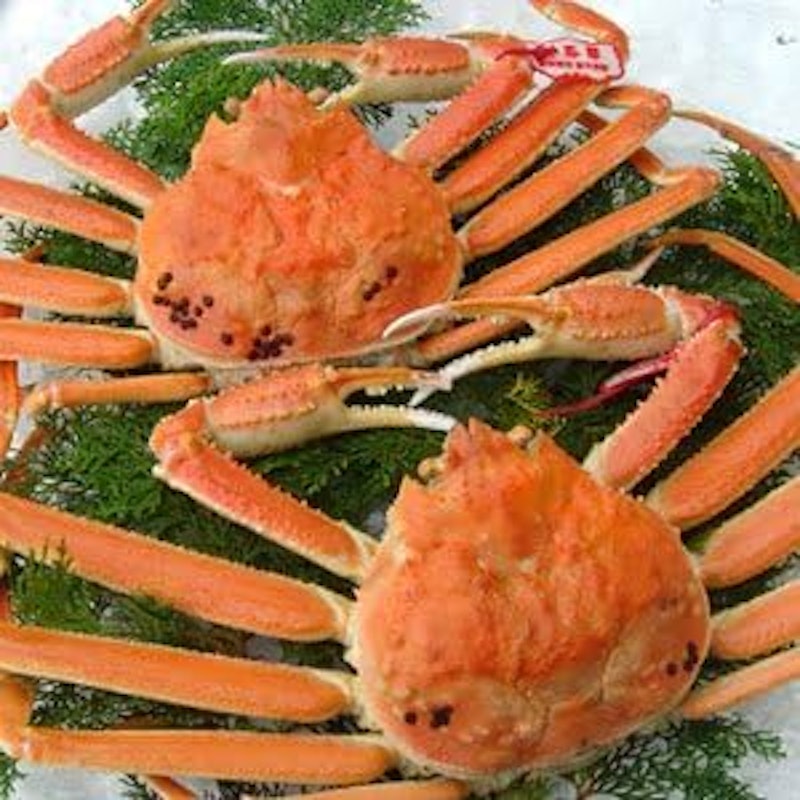 日本海産 茹で松葉がに 1