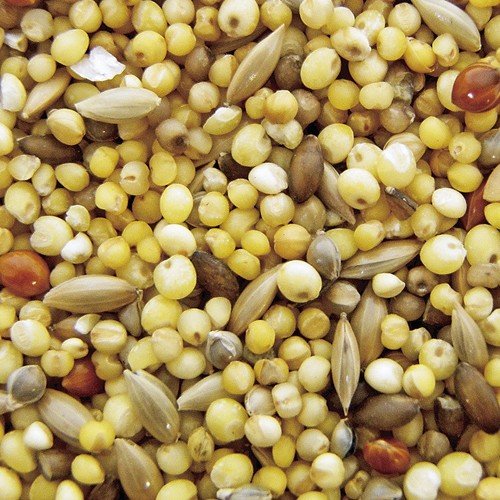 エクセル おいしい小鳥の食事 皮むき 3