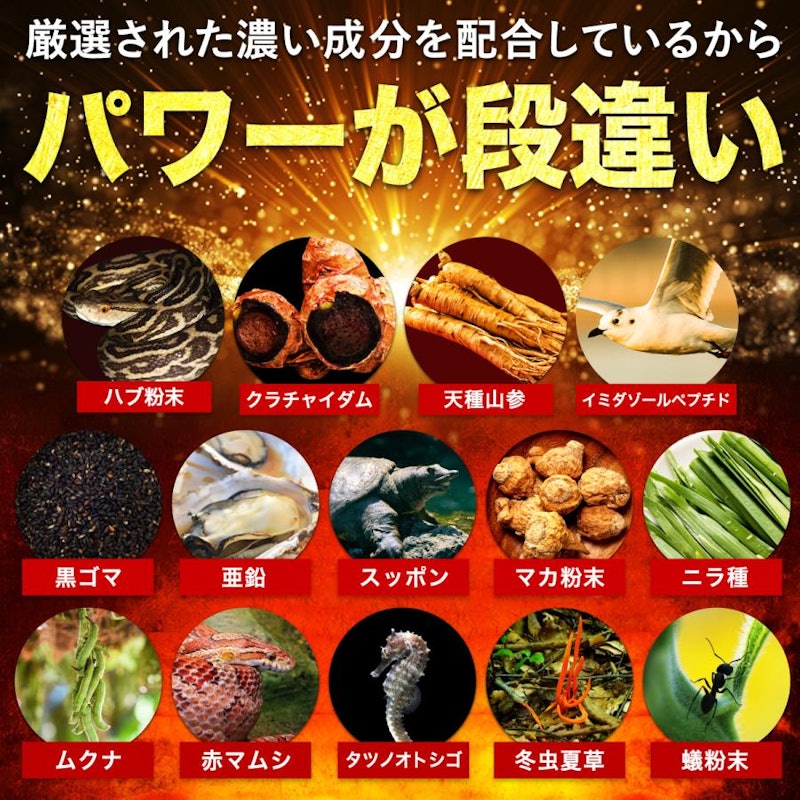 闘王(ファイターキング) 5