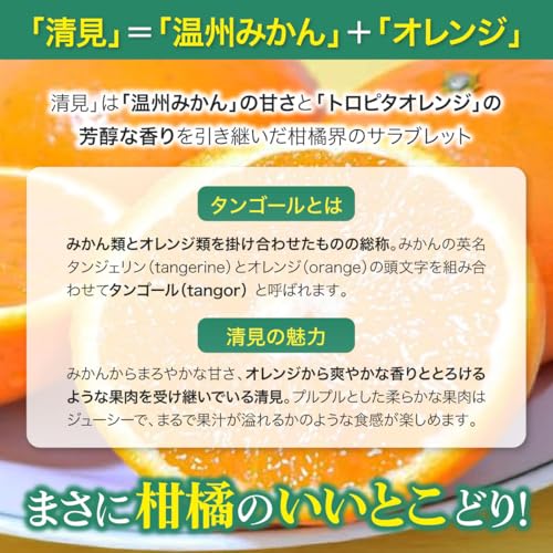 清見 3