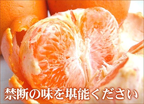 ハウスせとか 3
