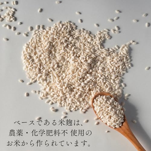 SALT  塩麹 5