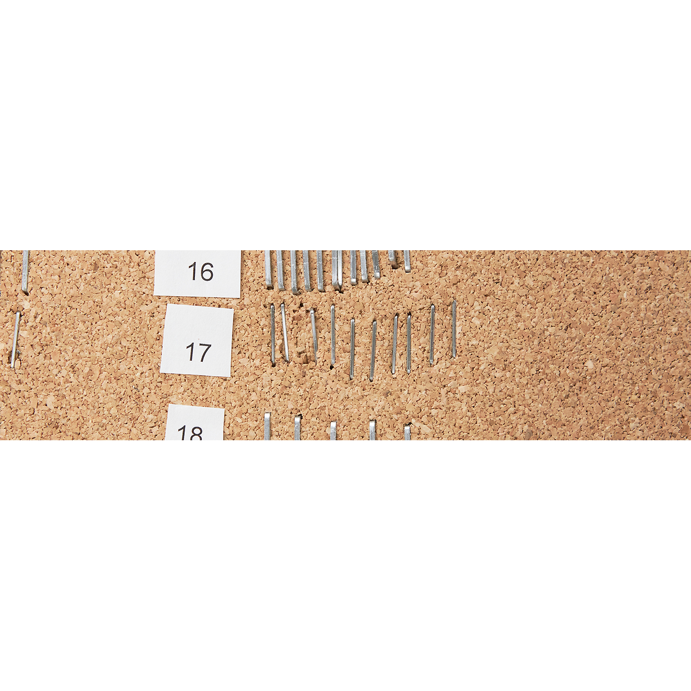 タッカ 6