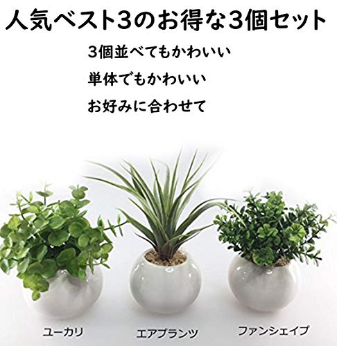 ミニ インテリアグリーン 7