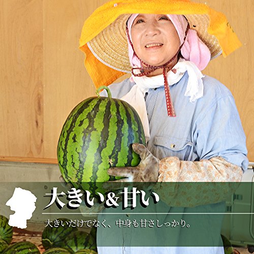 尾花沢すいか 7
