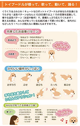 ロボットふわふわトイプードル 3