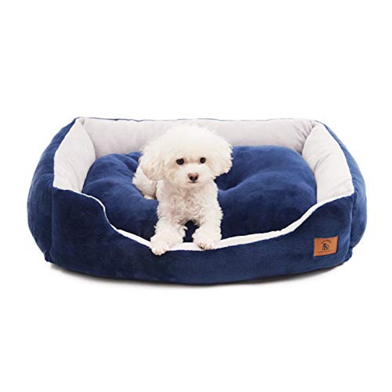21年 犬用ベッドのおすすめ人気ランキング8選 Mybest 21年 犬用ベッドのおすすめ人気ランキング8選 Mybest