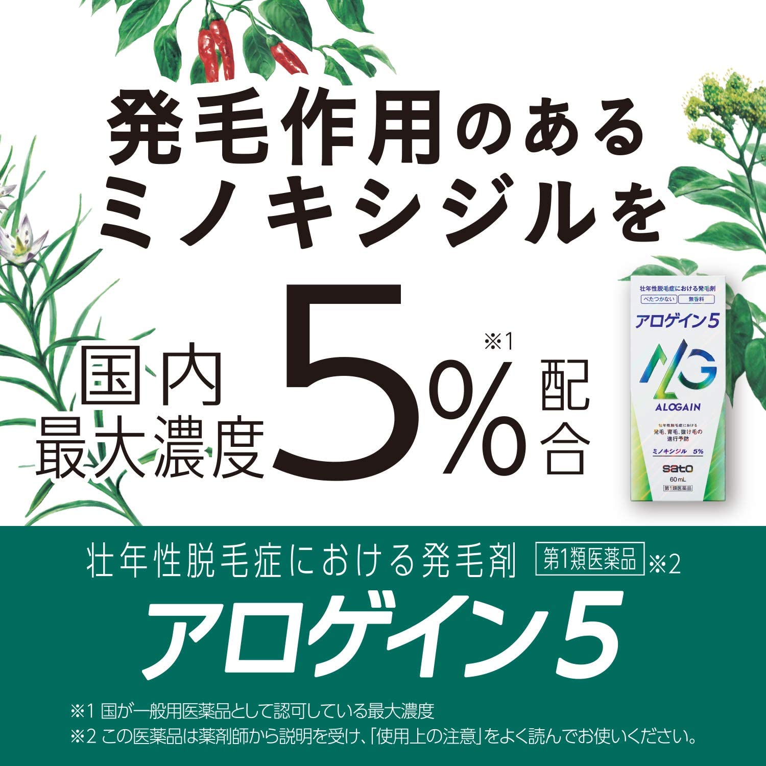 アロゲイン5 2