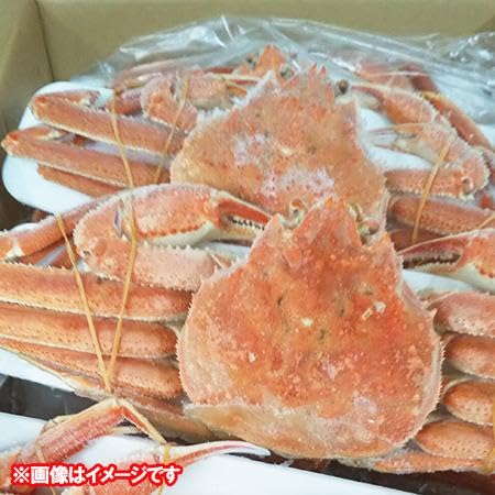 北海道産 オオズワイガニ 2