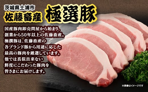 佐藤畜産の極選豚 ヒレ肉 4