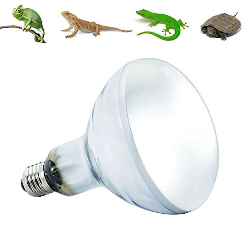 Jcncr2tv 0rplm Jcncr2tv 0rplm