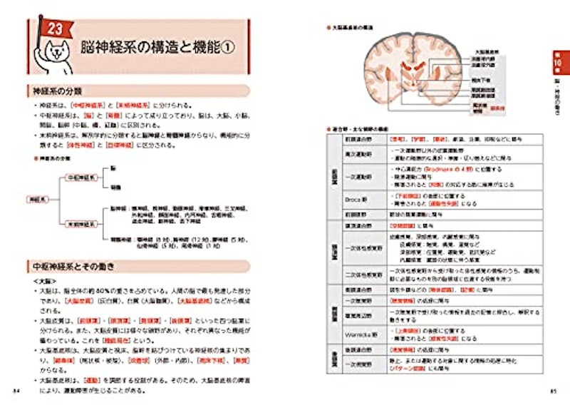 公認心理師 要点ブック+一問一答 第2版 2