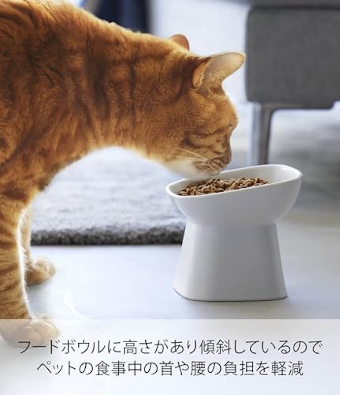 ペットフードボウル 1