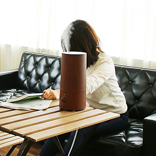 蒸発式加湿器、6畳用、終夜運転可能 6畳用加湿器のおすすめ人気ランキング【2026年4月】 | マイベスト