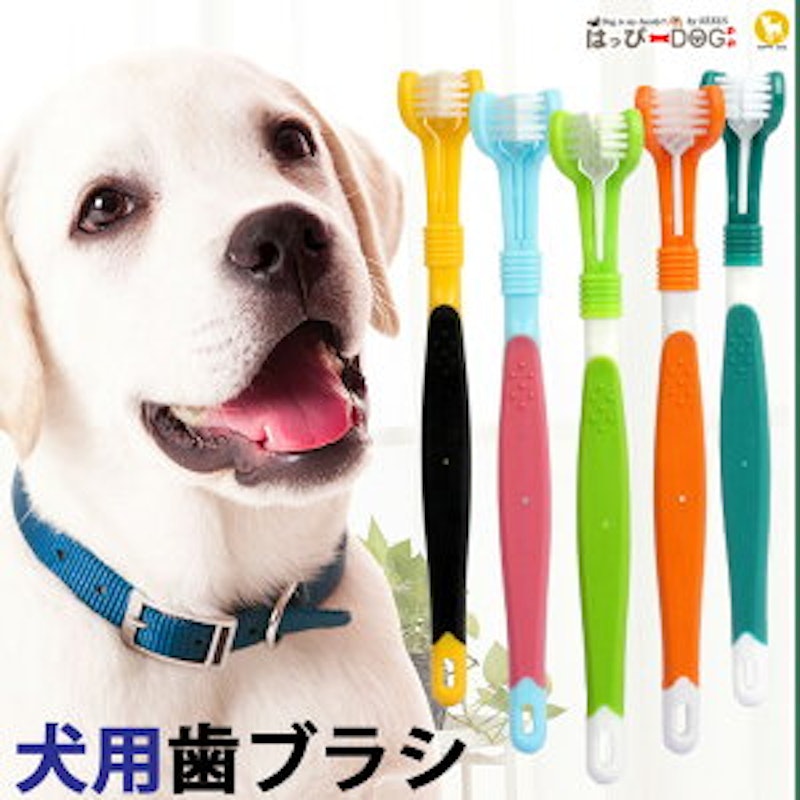 犬用歯ブラシ 1