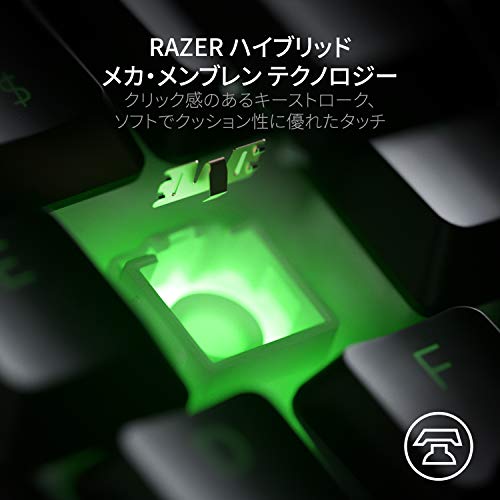 Ornata V2 3