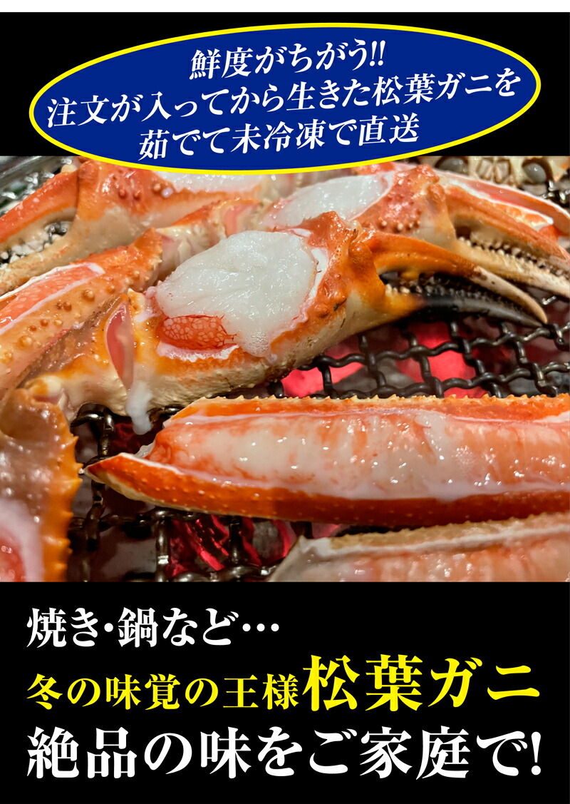 山陰沖日本海産 松葉ガニ 6
