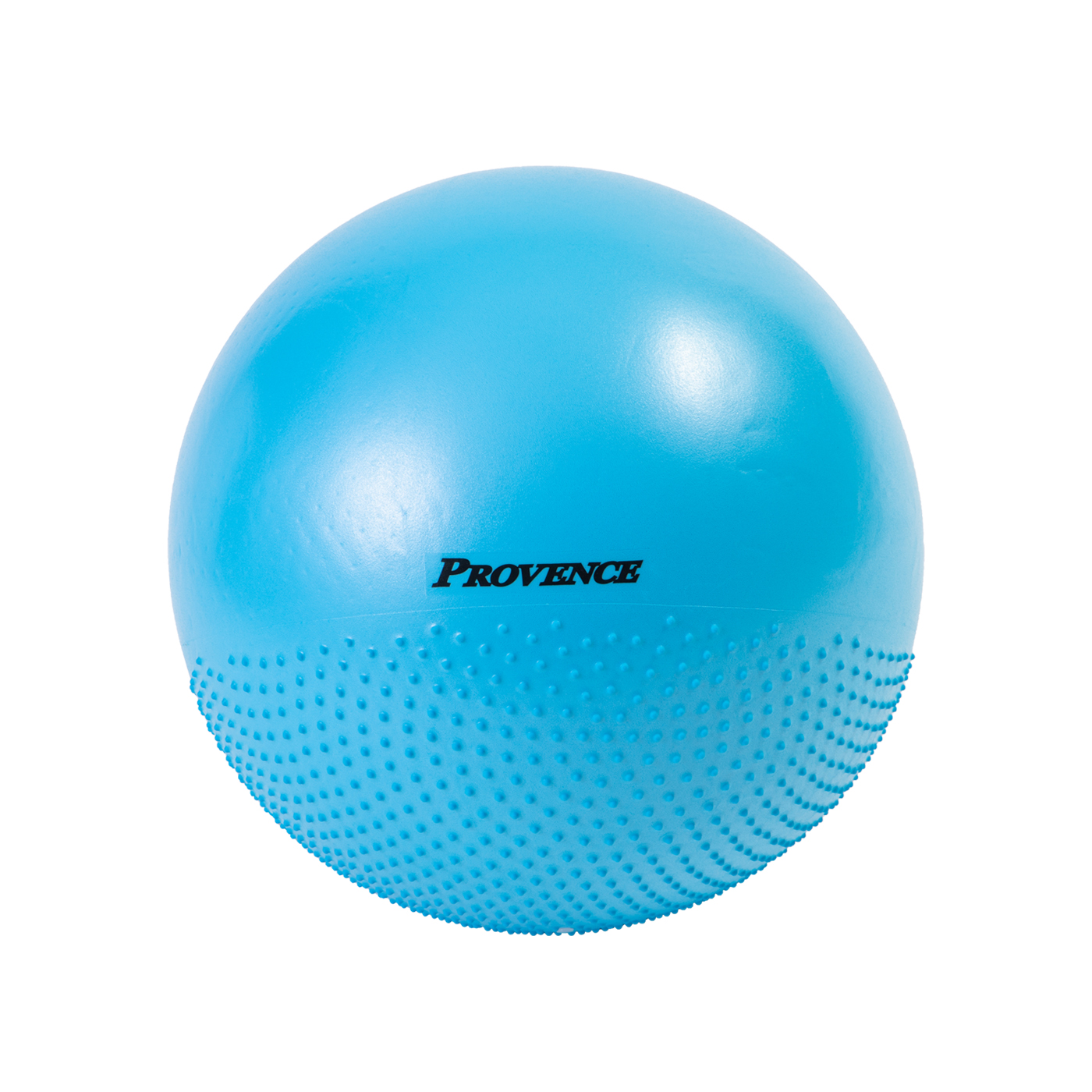 ギムニク (GYMNIC) フィットボール 65 バランスボール Fit Ball 65cm