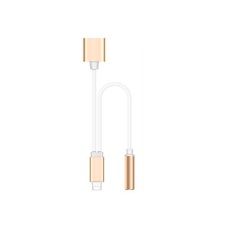 iPhone イヤホン 変換ケーブル 4