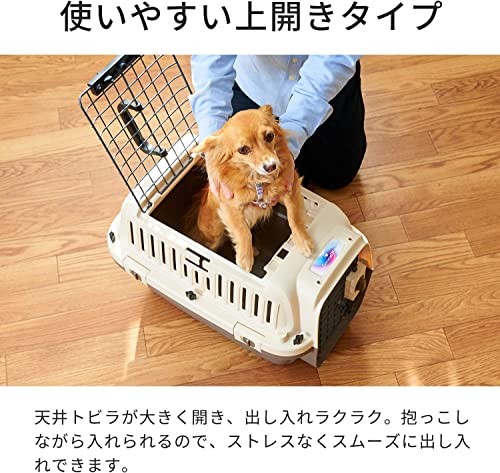 ペットケンネル・ファーストクラス トップオープン 2