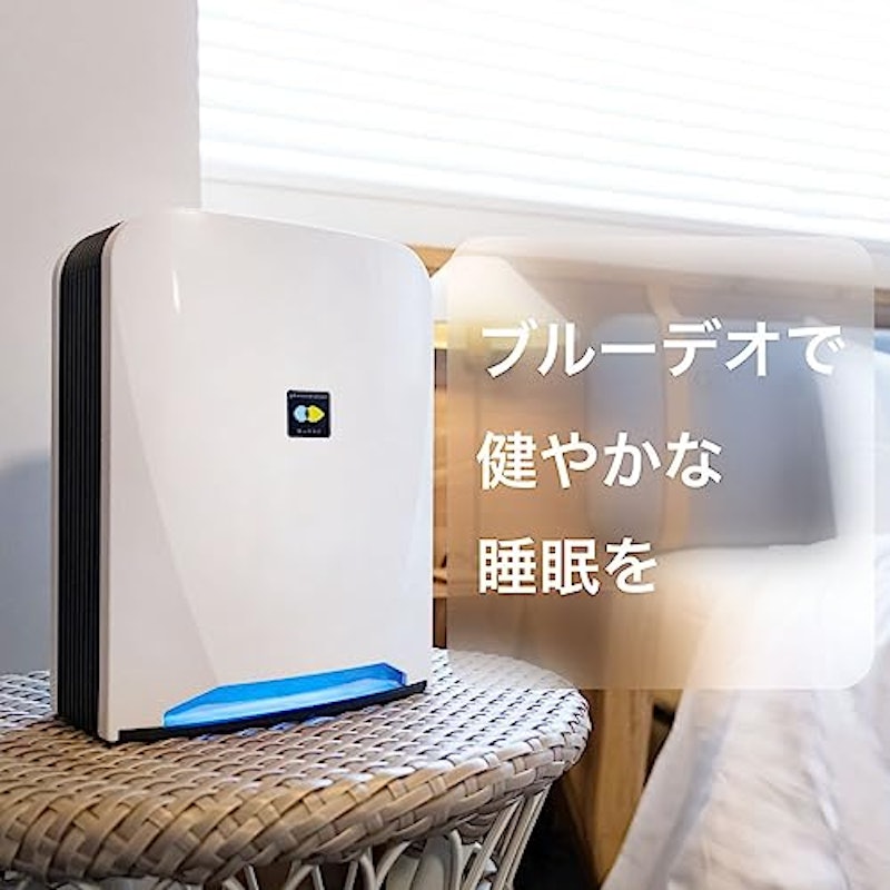 BlueDeo ブルーデオS型 3