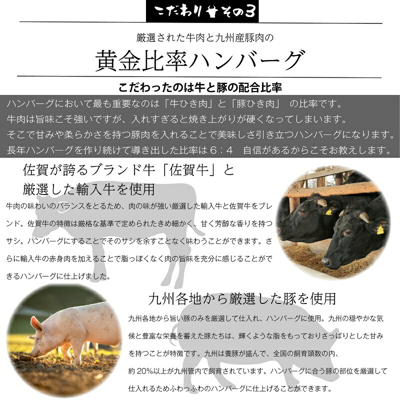 佐賀牛入り熟成生ハンバーグ 4