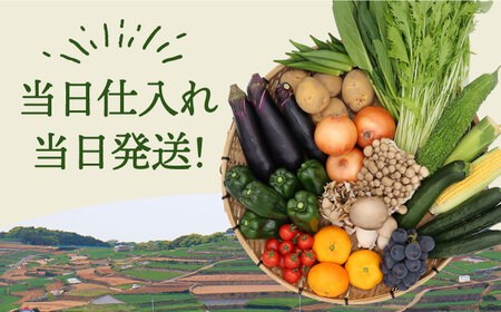 野菜定期便 フルーツ きのこセット 15品目以上 2