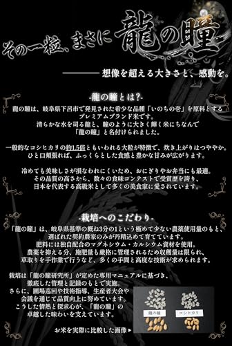 お米  2