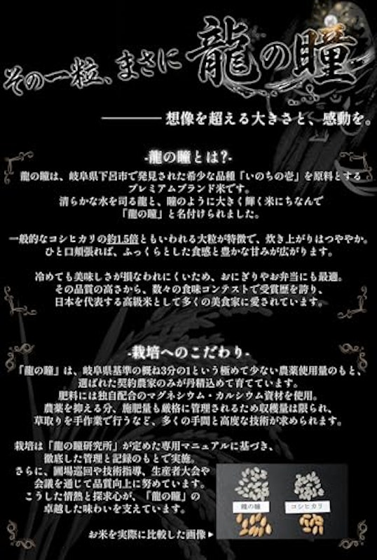 お米 2