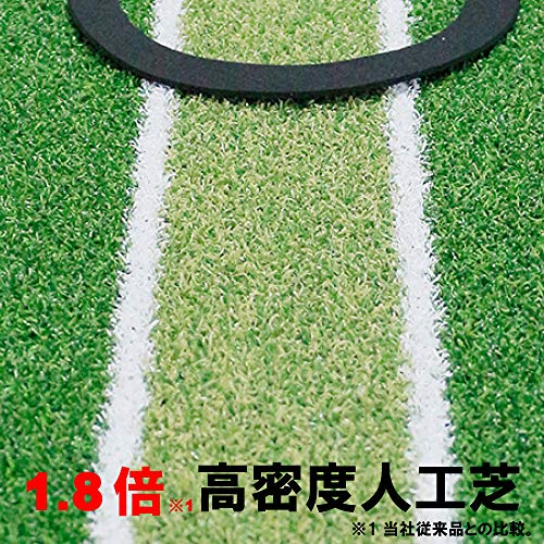 ダイヤパターグリーン 10
