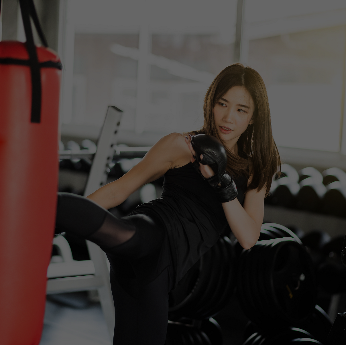 RANGERGYM 3