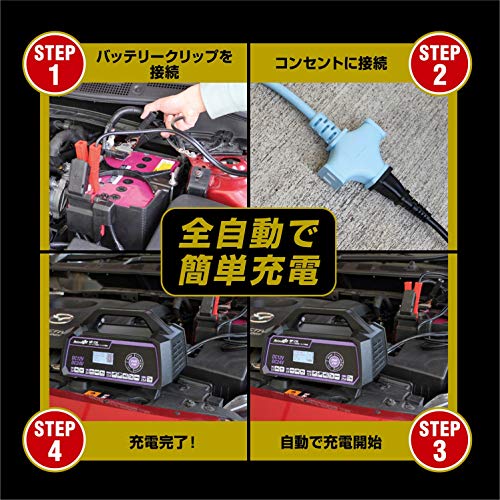セレクト式自動パルス充電器 7