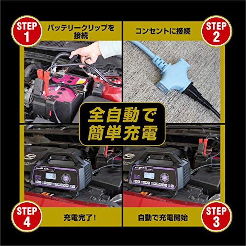 セレクト式自動パルス充電器 7