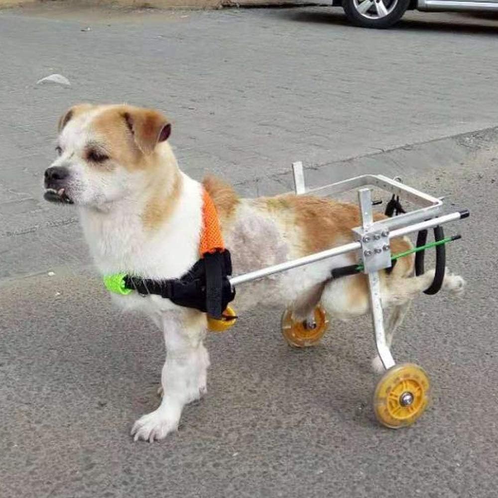 ペット用車椅子 2
