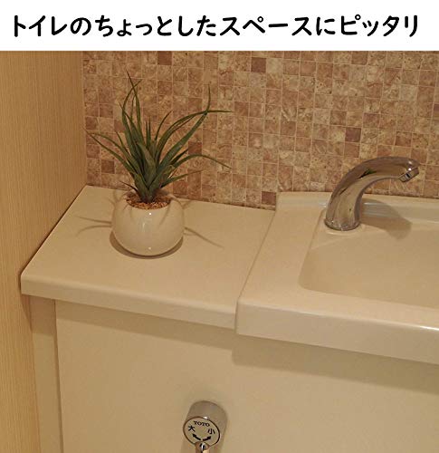 ミニ インテリアグリーン 4