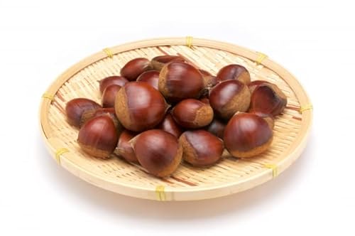 栗 1