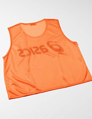 BIBS 4