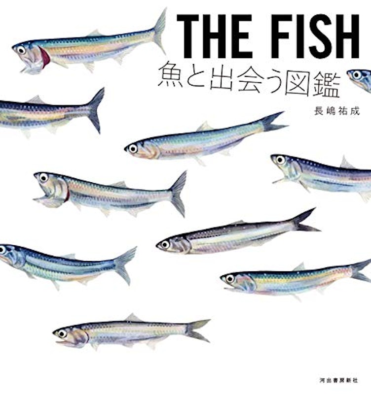 THE FISH 魚と出会う図鑑 1