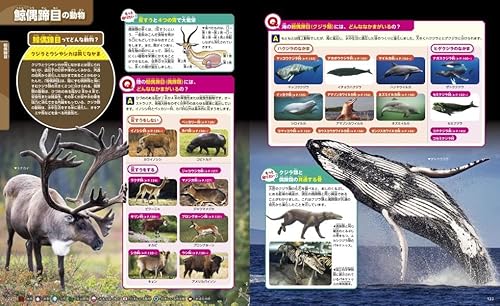 動物　新訂二版 7