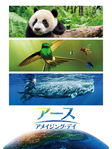 アメイジング・デイ 1